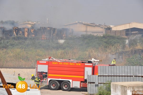 firecartoonsecnd506 (40).JPG